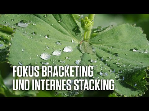 Mehr Schärfentiefe im Nahbereich mit Fokus Bracketing