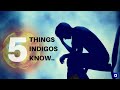 5 Things Only Indigos/Lightworkers Know