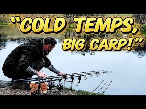UK Winter Carp Fishing: "I'm Still Catching"