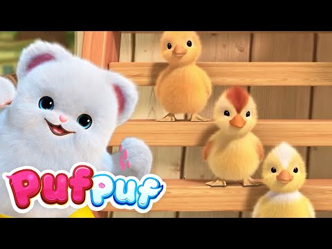 Jocul rățuștelor - Ne jucăm și ne distrăm cu prietenii pufoși | Cântece Puf Puf