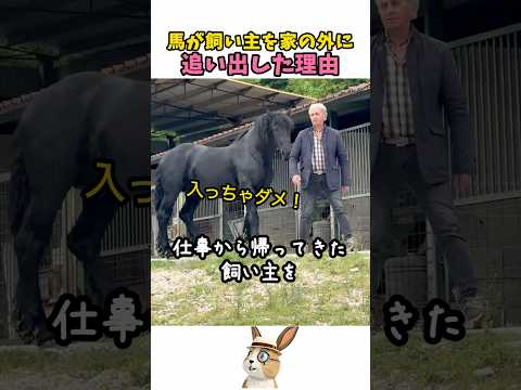 馬：「家に入っちゃダメ！」