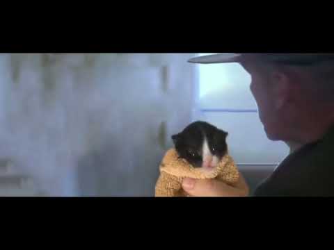 LEMME SEE YOUR WAR FACE