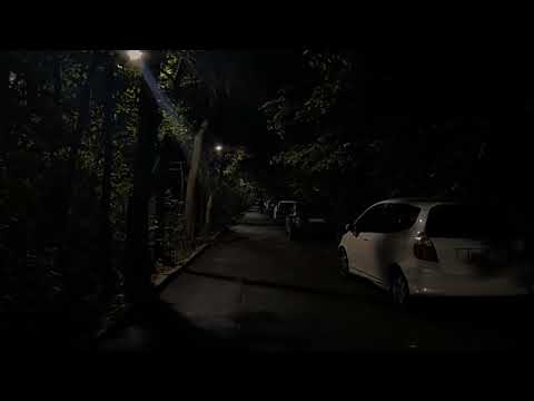 the night we met - Lord Huron 🥀| ( slowed &  reverb )