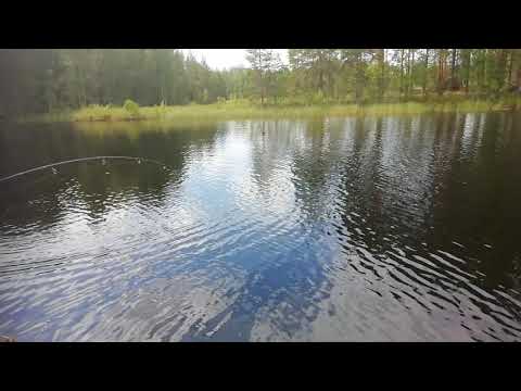 Kalaopas Finland - opastetut kalastusretket / lasten kanssa kalassa