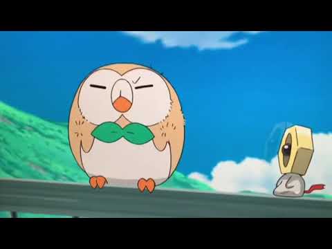 I LOVE U ROWLET