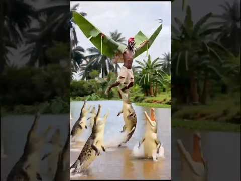 Flying challenge #laugher #comedy #funny #usa #animals #uk