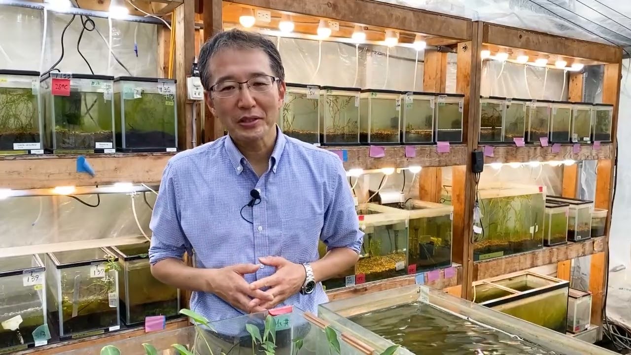 国立科学博物館 植物研究部  田中法生 インタビュー（2023年度クラウドファンディング「科博コレクション図鑑」特典動画）
