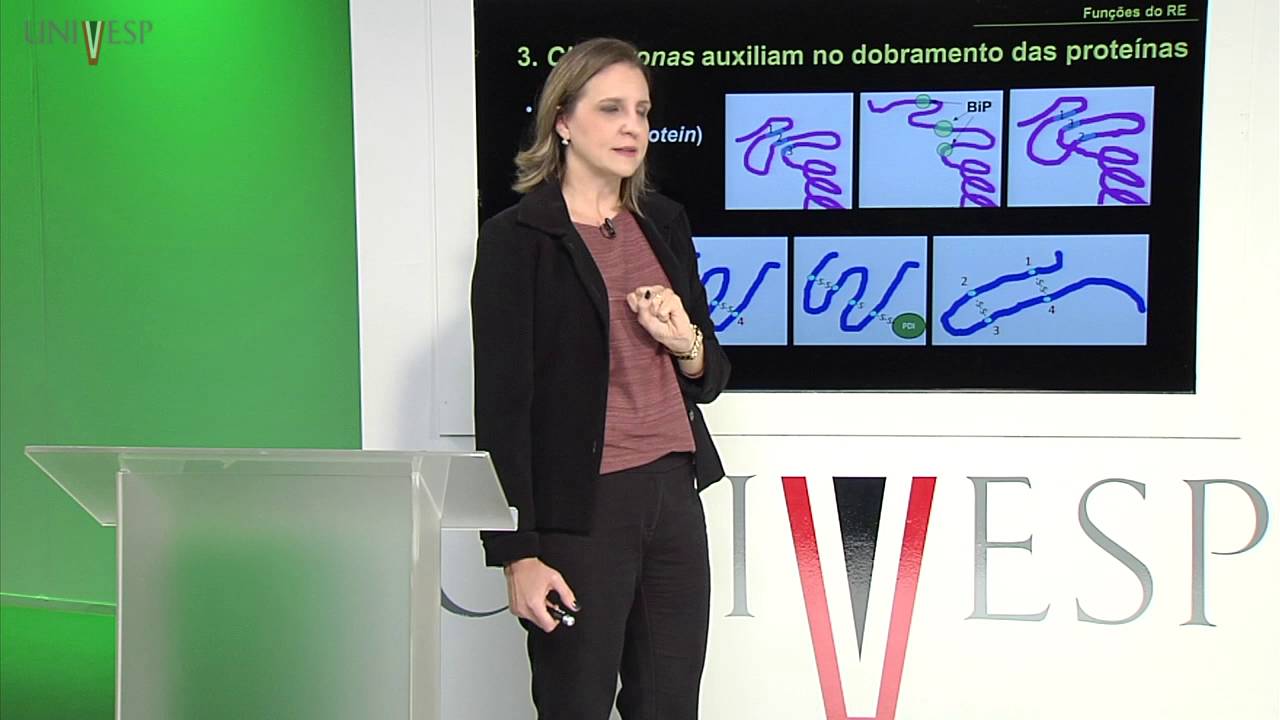 Células e Tecidos - aula 10 - Retículo Endoplasmático (RE)