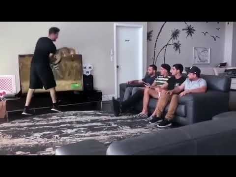 Hilarious leopard prank