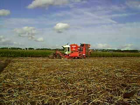 Van Bruwaene R - Pittem