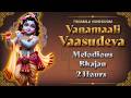 Vanamali Vasudeva 2 Hours Deep Vishnu Meditation Peace Abundance Divine Protection