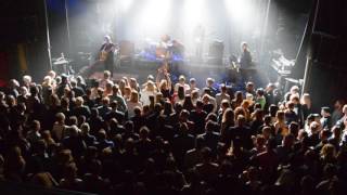 Tiger Lou - Albino Apparel, Live @ Pustervik 2016