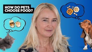 Dr. Emira Mehinagic: Pet Food Palatability