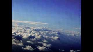 World Citizen~I Won't Be Disappointed