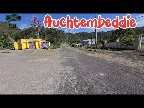 (Auchtembeddie) a community lost in time in manchester jamaica. 