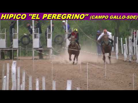 LA MATACA en HIPICO "EL PEREGRINO" (CAMPO GALLO-SDE 16-05-26)