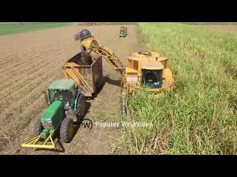 These animal meat factories are 8 million shocked people.