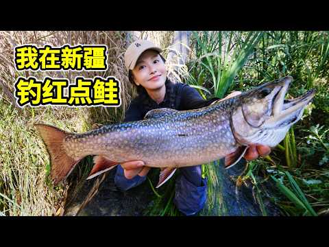 Fishing in Xinjiang's Snow-Capped Mountain Streams: Landing a 4-Pound American Redpoint Trout！