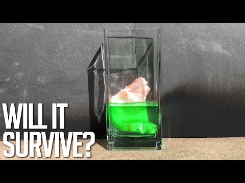 Acid Vs Flesh (Sulfuric Acid)