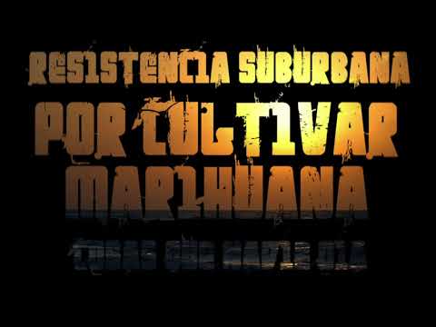 Por Cultivar Marihuana - Resistencia Suburbana (Cosas que nadie oía)
