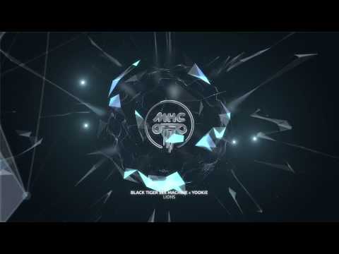 Black Tiger Sex Machine x YOOKiE - Lions // Dance Music