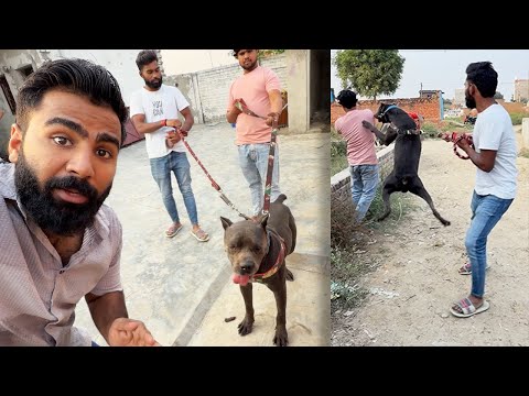 Training with panther gone wrong 😟