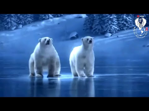 Alle Jahre wieder. Einen guten Rutsch ins neue Jahr.