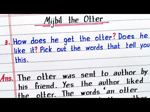 How does he get the otter? Does he like it? | Mijbil the Otter | Class 10 English | Chapter 8 NCERT