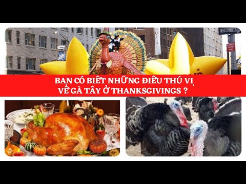 , title : 'Bạn có biết những điều thú vị về gà Tây ở Thanksgiving?. Video #67| @Ngu Tran USA'