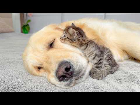YouTube 썸네일