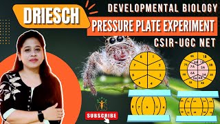 Download Lagu Driesch Pressure Plate Experiment | Conditional Specification CSIR NET Thumbnail