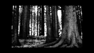 Eternal Beauty of the Trees/ Uaral