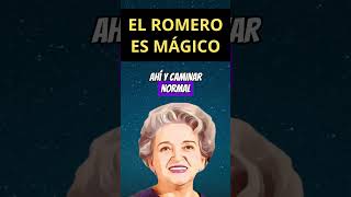 EL ROMERO ES MÁGICO 🔥 #brujeria #hechizo #recetas #witch #magia #consejo #bruja #proteccion