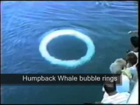 Amos the Ancient Prophet - The Sermon ft. Poetic Death