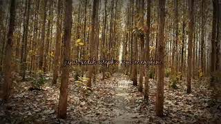 Download lagu story wa dan ig wong sepele mp3