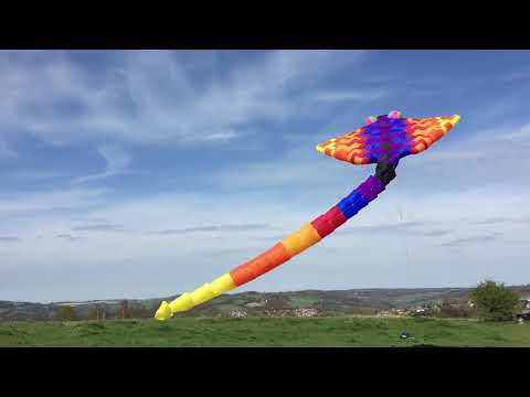 Peter Lynn | Midi manta ray