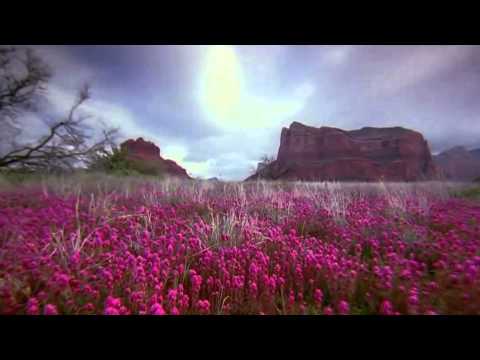 Frații Budău vol.3 - Everest