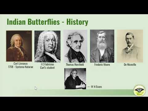Introduction to the World of Butterflies (Our Winged Jewels) - Mr. Sharan V