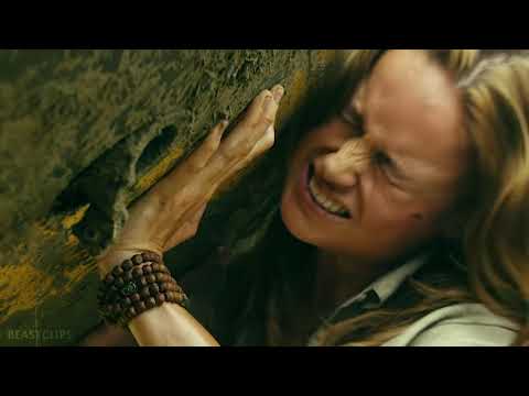 Kong Saves Giant Buffalo Scene   Kong  Skull Island 2017 Movie CLIP