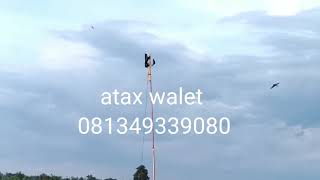 Download lagu Uji coba suara dengan twitter Audax ax 6000 dan ax 61 mp3 Download lagu Uji coba suara dengan twitter Audax ax 6000 dan ax 61 mp3