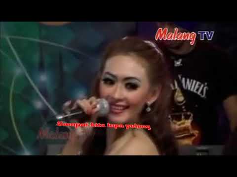 GAK MAU PULANG // CITRA MARCELINA #dangdutkoploterpopuler #dangdutviral #dangdutkoplo