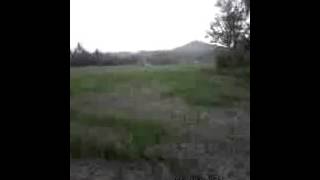 Download lagu viola arsa - selfie.mp4 mp3 Download lagu viola arsa - selfie.mp4 mp3