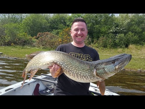 Big Irish Pike 121cm !