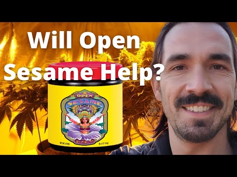 Fox Farm Open Sesame