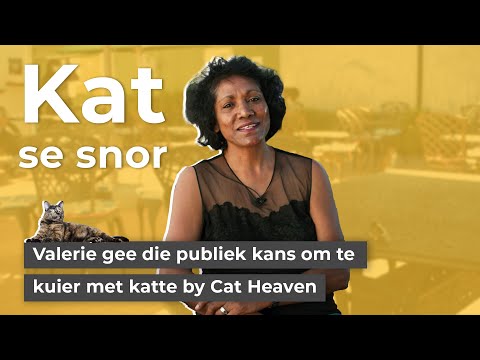 Cat Heaven - Die koffiewinkel met kat kollegas