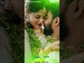 Sokkanukku Vaacha Sundariye Tamil Old 80s Melody Song Whatsapp Status 90s Spb Chitra