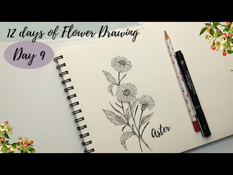 How to draw flowers - Day 9. Aster flower drawing tutorial for beginners.