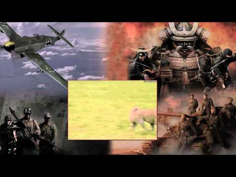 Thank You For Being Steamrolled By The 116th