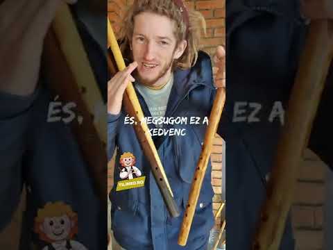 🌳 Caval tradițional în tonalitate H (Si) din lemn alun