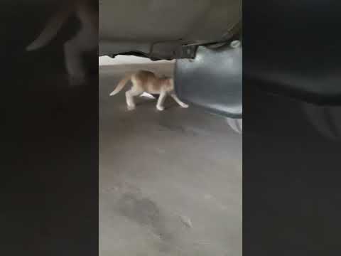 #muneesh #vairalshort